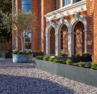 Family Home Wimbledon image 3