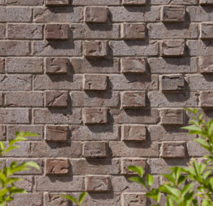 Greenholme Street 4