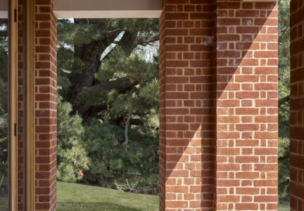 Moxley Image 3